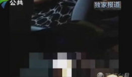 黄视频观看,探索网络短视频背后的秘密与影响